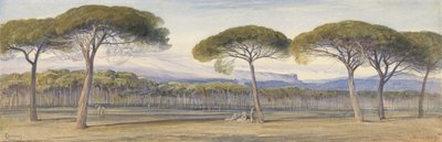 Widok na las sosnowy nad Cannes autorstwa Edward Lear