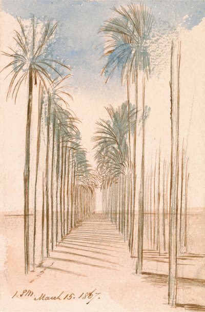 Aleja drzew autorstwa Edward Lear