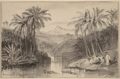  autorstwa Edward Lear
