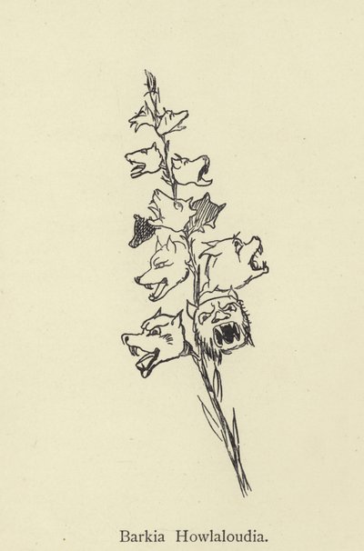 Barkia Howlaloudia autorstwa Edward Lear