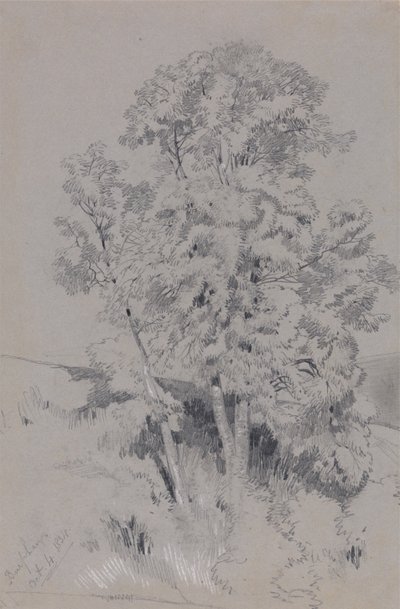 Burpham 4 października 1834 r. autorstwa Edward Lear
