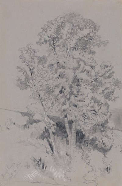 Burpham, 4 października 1834 r. autorstwa Edward Lear