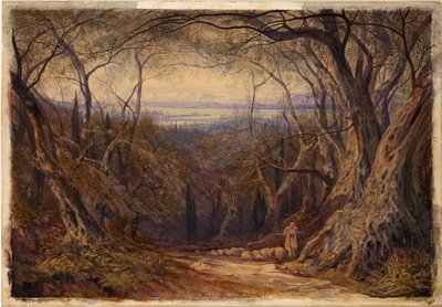 Korfu autorstwa Edward Lear