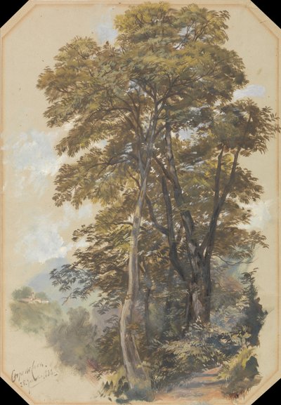 Korpus kamieniołomów, 28 czerwca 1838 r. autorstwa Edward Lear