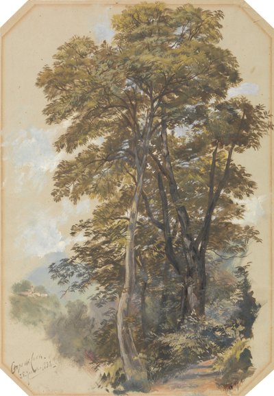Corpo di Cava, 28 czerwca 1838 r. autorstwa Edward Lear