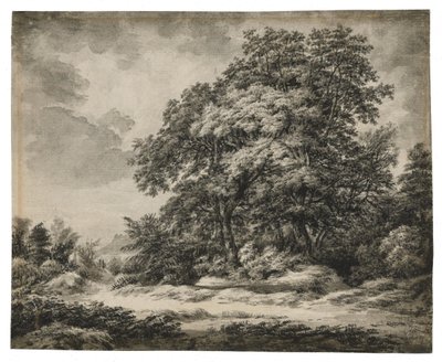 Krajobraz leśny autorstwa Edward Lear
