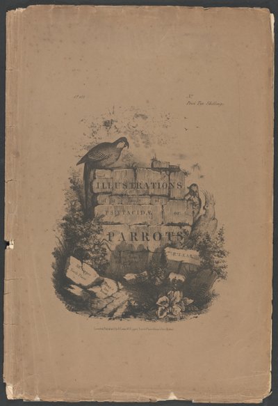 Ilustracje przedstawiające rodzinę papugowatych (Psittacidae), czyli papugi, część 1: okładka folio, strona tytułowa, strona dedykacyjna, strona subskrybentów autorstwa Edward Lear