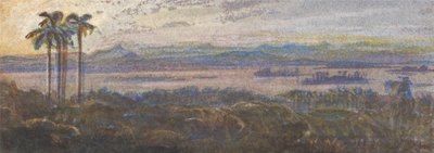 Indian River Landscape autorstwa Edward Lear