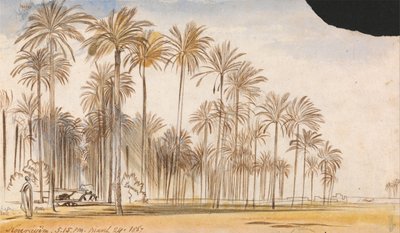 Kourayim autorstwa Edward Lear