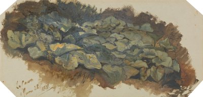 La Cava autorstwa Edward Lear