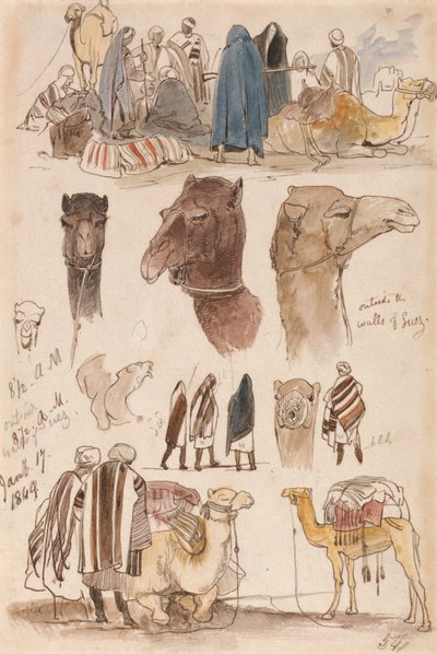 Poza murami Suezu, 8:30 rano, 17 stycznia 1849 r. (54) autorstwa Edward Lear