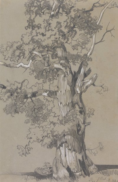 Parham, 13 października 1834 r. autorstwa Edward Lear
