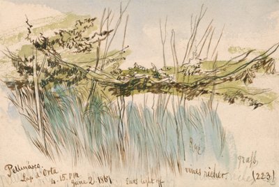 Pettenasco, Jezioro Orta autorstwa Edward Lear