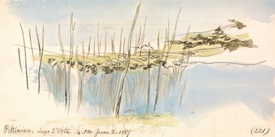 Pettenasco, jezioro Orta, godzina 16:00, 2 czerwca 1867 r. (221) autorstwa Edward Lear