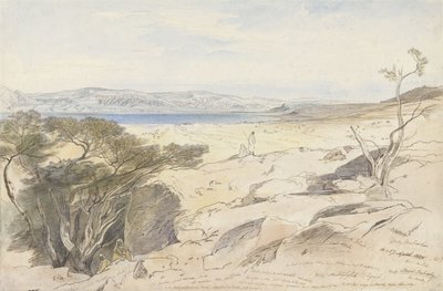 Morze Martwe autorstwa Edward Lear