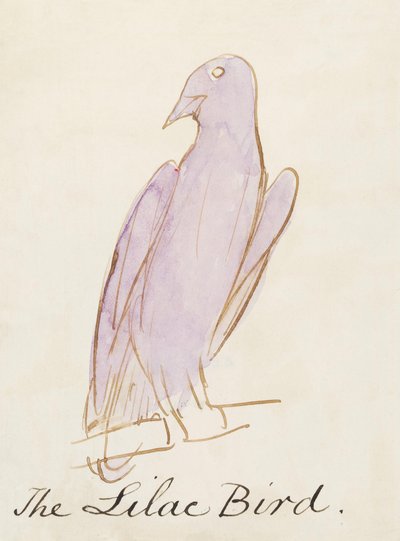 Ptak bzu, z Szesnastu rysunków komiksowych ptaków (pióro i tusz, wc na papierze) autorstwa Edward Lear