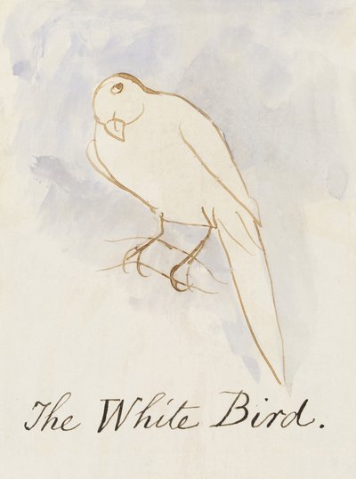 Biały ptak, z szesnastu rysunków komiksowych ptaków (pióro i atrament wc na papierze) autorstwa Edward Lear