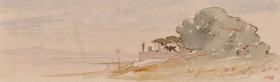 Teby autorstwa Edward Lear