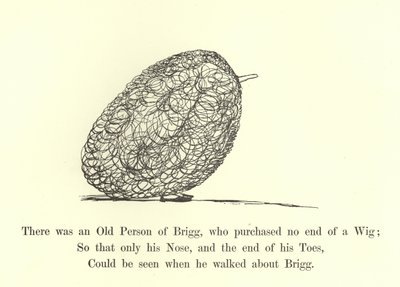 Był stary człowiek Brigg, który kupił całą perukę autorstwa Edward Lear
