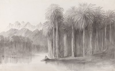 Wady Feiran, Półwysep Synaj autorstwa Edward Lear