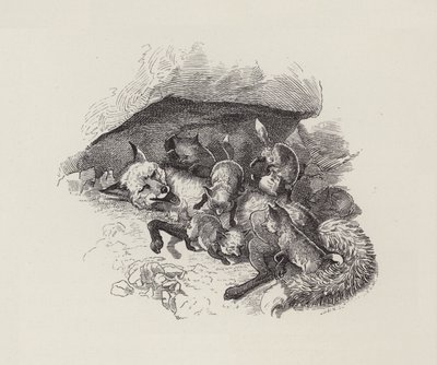 Ilustracja do The Water-Babies autorstwa Charlesa Kingsleya (grafika) autorstwa Edward Linley (after) Sambourne
