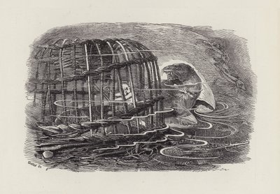 Ilustracja do The Water-Babies autorstwa Charlesa Kingsleya (grafika) autorstwa Edward Linley (after) Sambourne