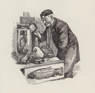 Ilustracja do The Water-Babies autorstwa Charlesa Kingsleya (grafika) autorstwa Edward Linley (after) Sambourne