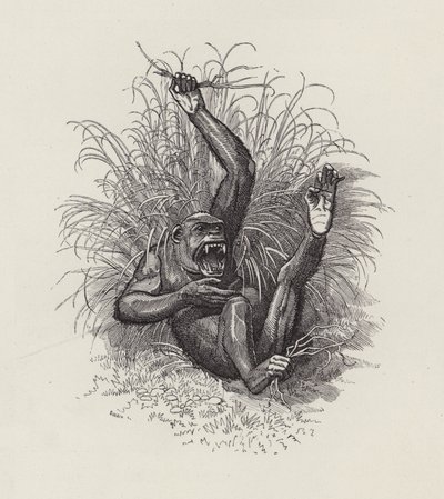 Ilustracja do The Water-Babies autorstwa Charlesa Kingsleya (grafika) autorstwa Edward Linley (after) Sambourne
