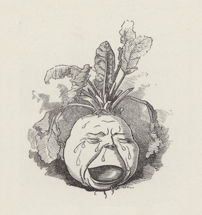 Ilustracja do The Water-Babies autorstwa Charlesa Kingsleya (grafika) autorstwa Edward Linley (after) Sambourne