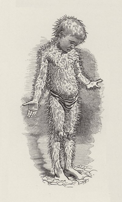 Ilustracja do The Water-Babies autorstwa Charlesa Kingsleya (grafika) autorstwa Edward Linley (after) Sambourne