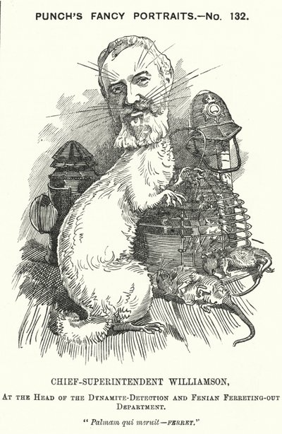Karykatura dziurkacza: Adolphus Williamson, brytyjski policjant i pierwszy szef wydziału detektywistycznego Metropolitan Police (rycina) autorstwa Edward Linley (after) Sambourne