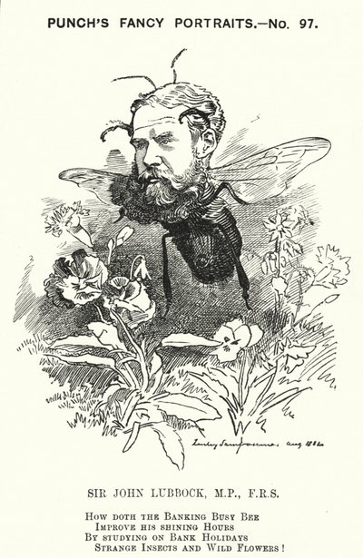 Kreskówka poncz: John Lubbock autorstwa Edward Linley (after) Sambourne