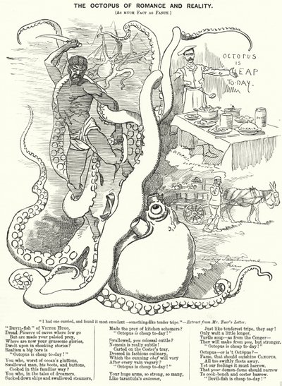 Punch cartoon: Octopus of Romance and Reality (grawerowanie) autorstwa Edward Linley (after) Sambourne