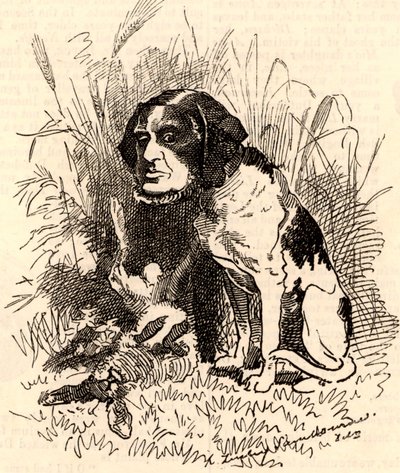 William GGV Vernon Harcourt (1827-1904) autorstwa Edward Linley Sambourne