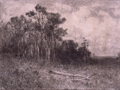 Krajobraz, scena leśna autorstwa Edward Mitchell Bannister
