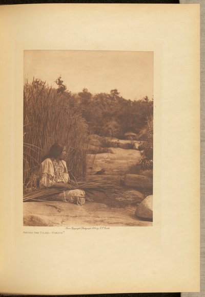 Wśród tui - Yokuts autorstwa Edward S. Curtis