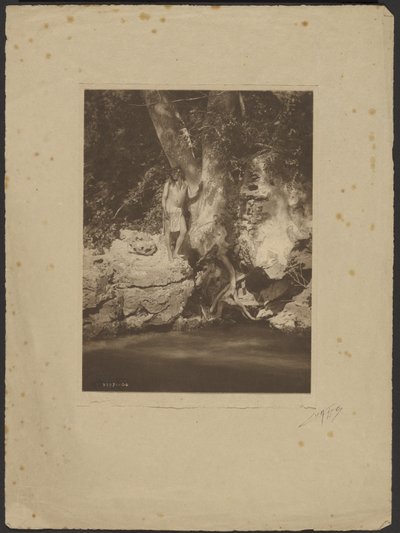Apache-Black River (przy jaworze) autorstwa Edward S. Curtis