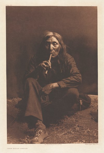 Portfolio VI, Tablica 201: Wrona Orzeł – Piegan autorstwa Edward S. Curtis