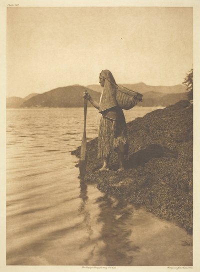 Zbieracz wodorostów autorstwa Edward S. Curtis