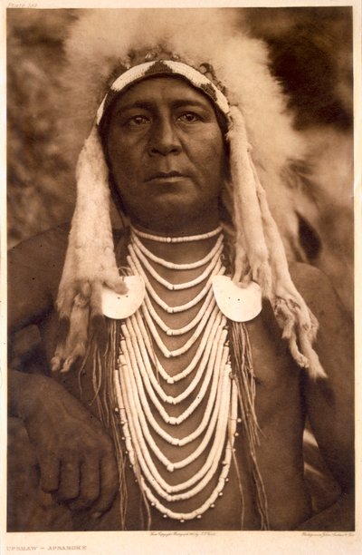 Upshaw plemienia Apsaroke autorstwa Edward Sheriff (after) Curtis