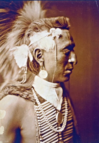 polish autorstwa Edward Sheriff Curtis
