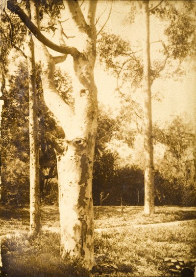 Na farmie, Seattle, Waszyngton autorstwa Edward Sheriff Curtis