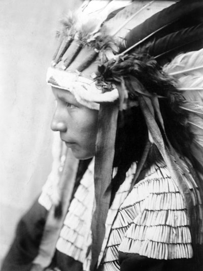 Dziewczyna Cheyenne, Córka złego konia (profil), ok. 1905, fot. Edward S. Curtis autorstwa Edward Sheriff Curtis