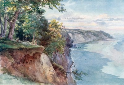 Las Stubnitz - Wyspa Rugia (kolorowa litografia) autorstwa Edward Theodore Compton