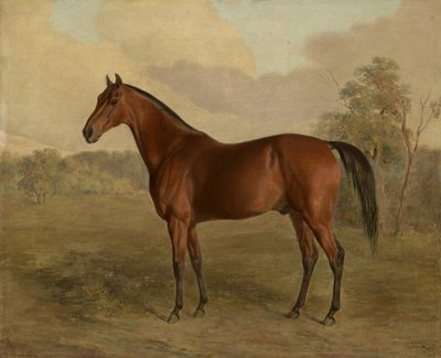 Dzięcioł Kentucky, 1834 autorstwa Edward Troye
