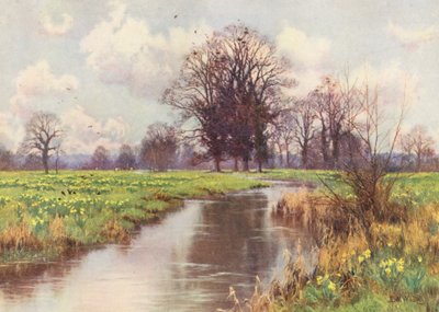 Ta wesoła rzeczka jest wolna od obciążeń i ani jaz, ani młyn nie zagradzają jej szybkiej drogi do morza (kolorowa litografia). autorstwa Edward Wilkins Waite