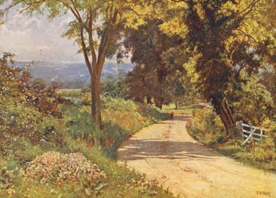 Moja droga (druk kolorowy) autorstwa Edward Wilkins Waite