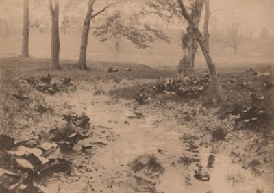 Wiosenny krajobraz, lata 1890 (zdjęcie) autorstwa Edward Willis Redfield