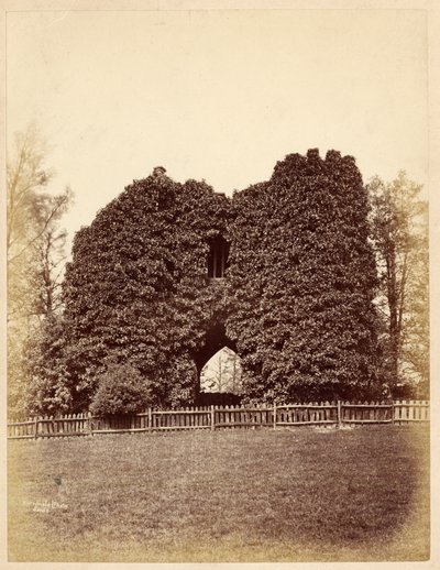 Widok szaleństwa w Roundhay Park (druk albumowy) autorstwa Edward Wormald