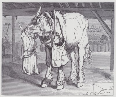 Koń wozowy autorstwa Edwin (after) Landseer